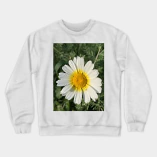 White and Yellow Crewneck Sweatshirt